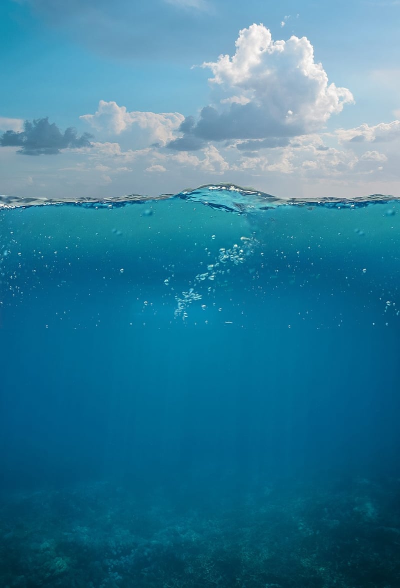 Underwater Fantasy